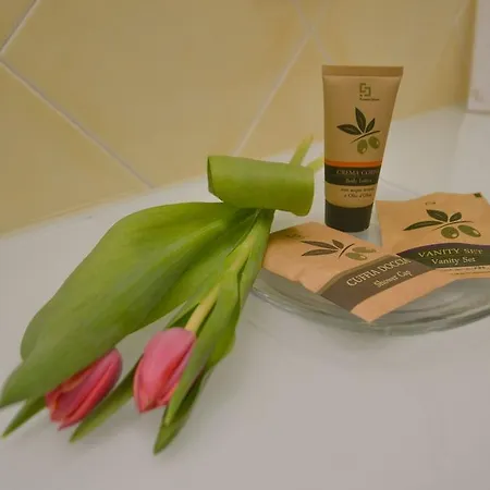 Hotel Ahg Donna Silvia Wellness